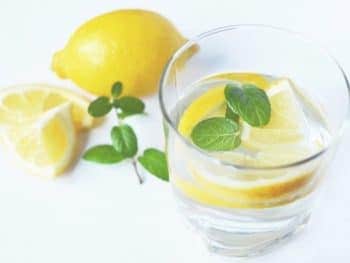 glass of water with a fresh slice lemon and mint spigs