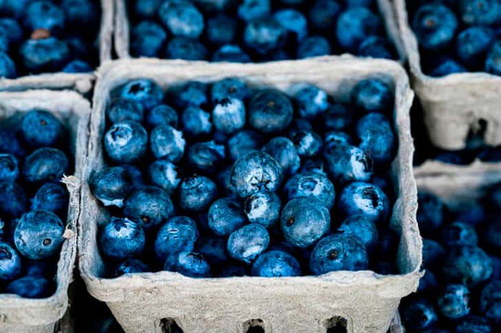 Blueberries in a grey punnet